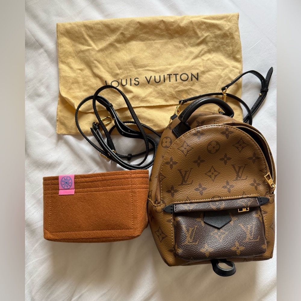 Louis Vuitton Palm Springs Mini Reverse Monogram with Organizer